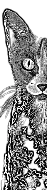 Free colorable bookmarks of a peeking cat